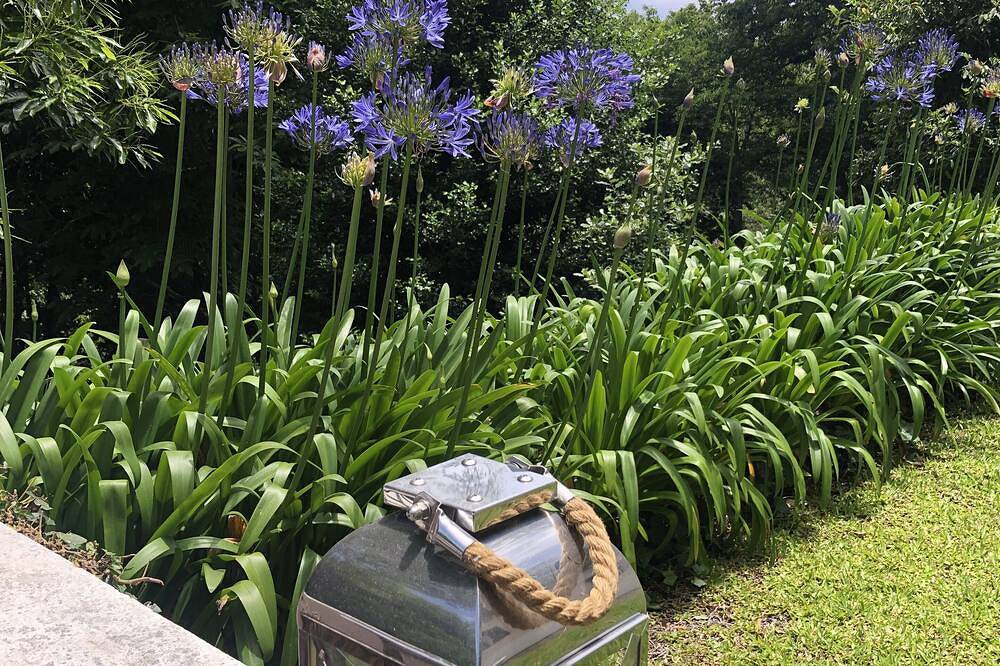 The Garden of Paradise in Camacha, Madeira
