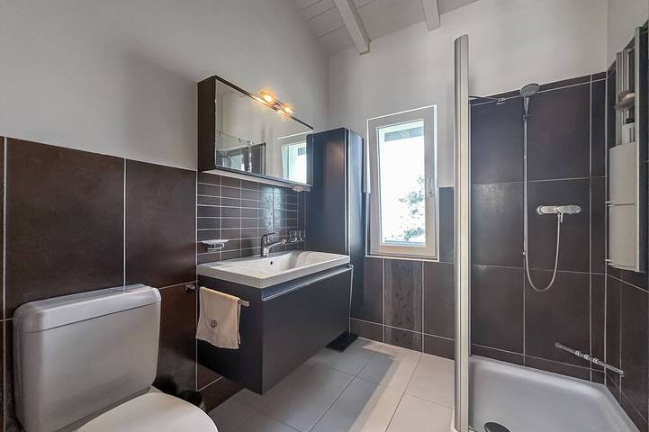 The Alpine Balance - Sion and ski stay - Swiss Alp in Salins (Sion), Sion