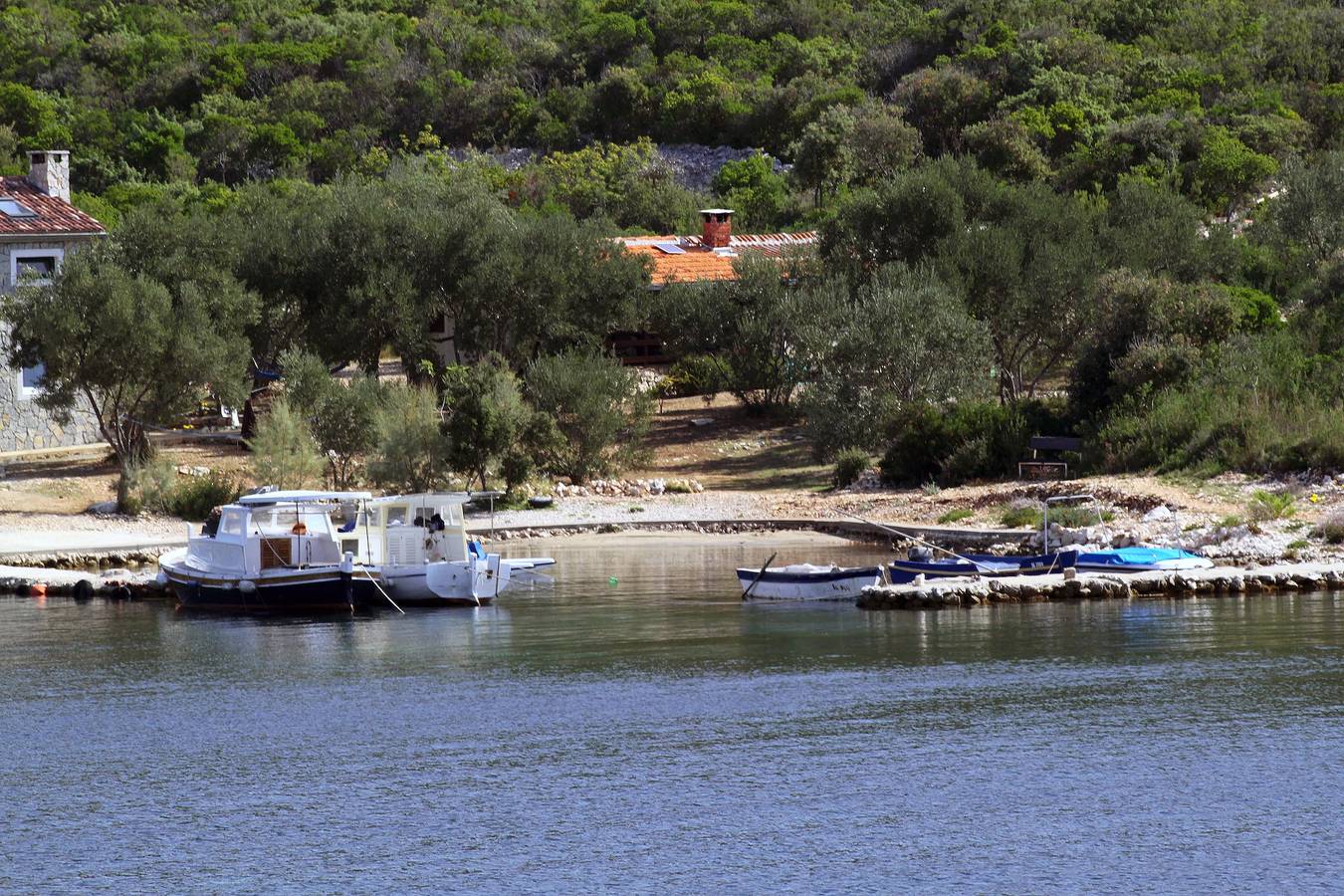 2-Zimmer-Haus am Strand Bucht Kobiljak, Pasman K-320 in Pasman Stadt, Pasman