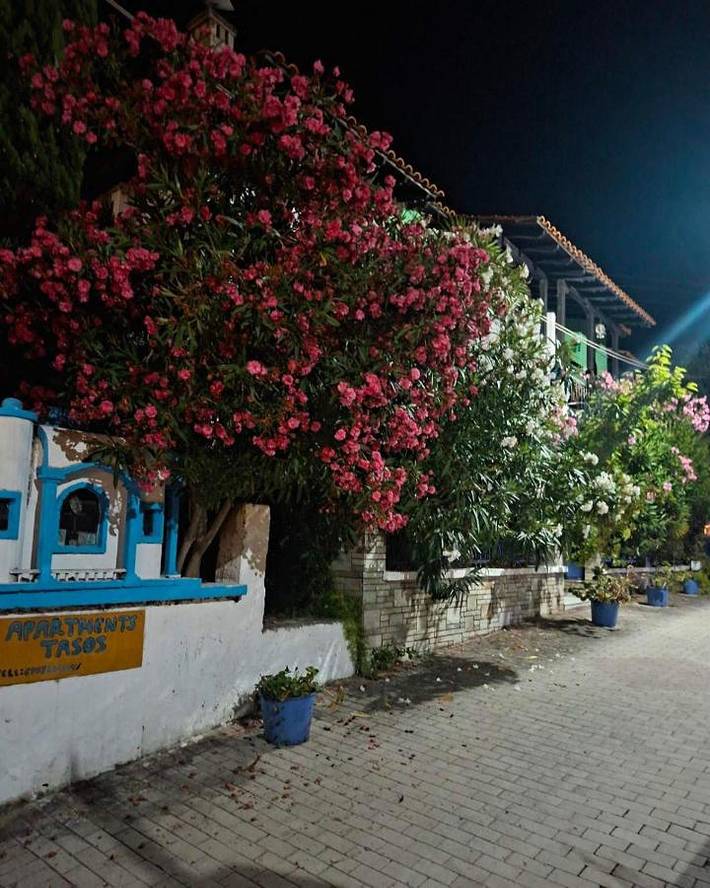 Location de vacances pour 5 personnes, avec jardin et vue dans Pefkochori - 2