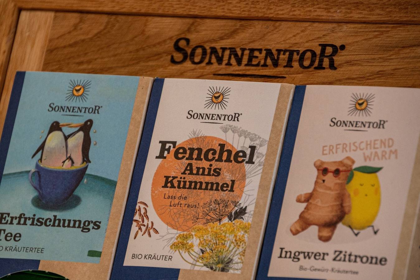 Zugspitzapps, Villa Sonnenschein in Ehrwald, Ammergau alps (Austria)