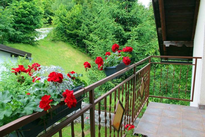 Holiday home for 6 people, with balcony, with pets - 1