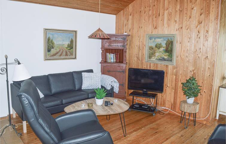 Ferienhaus für 4 Personen, mit Terrasse, mit Haustier in Skagen - 2