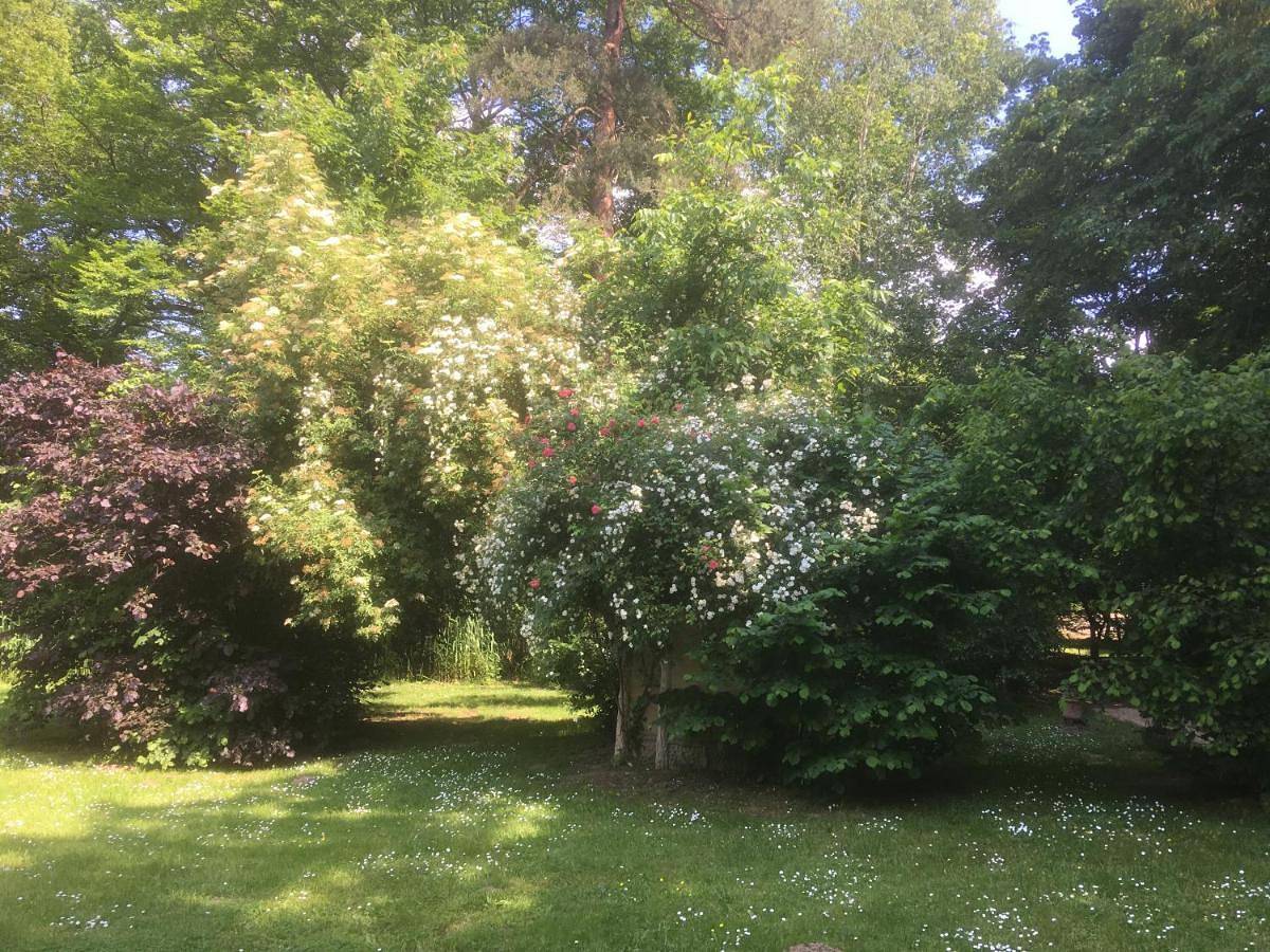 Seven-Bedroom House in Bois-le-Roi, Seine-et-Marne