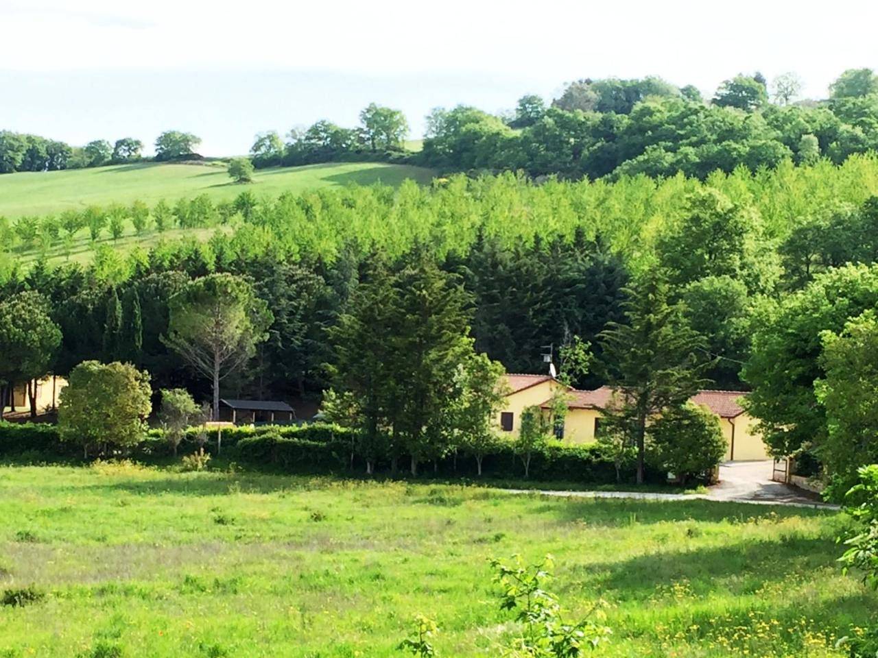 Agriturismo Sotto il Colle in Assisi, Perugia e dintorni