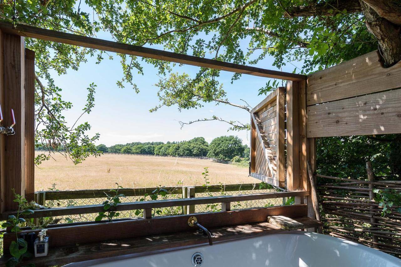 King Room with Balcony in East Lavington, South Downs