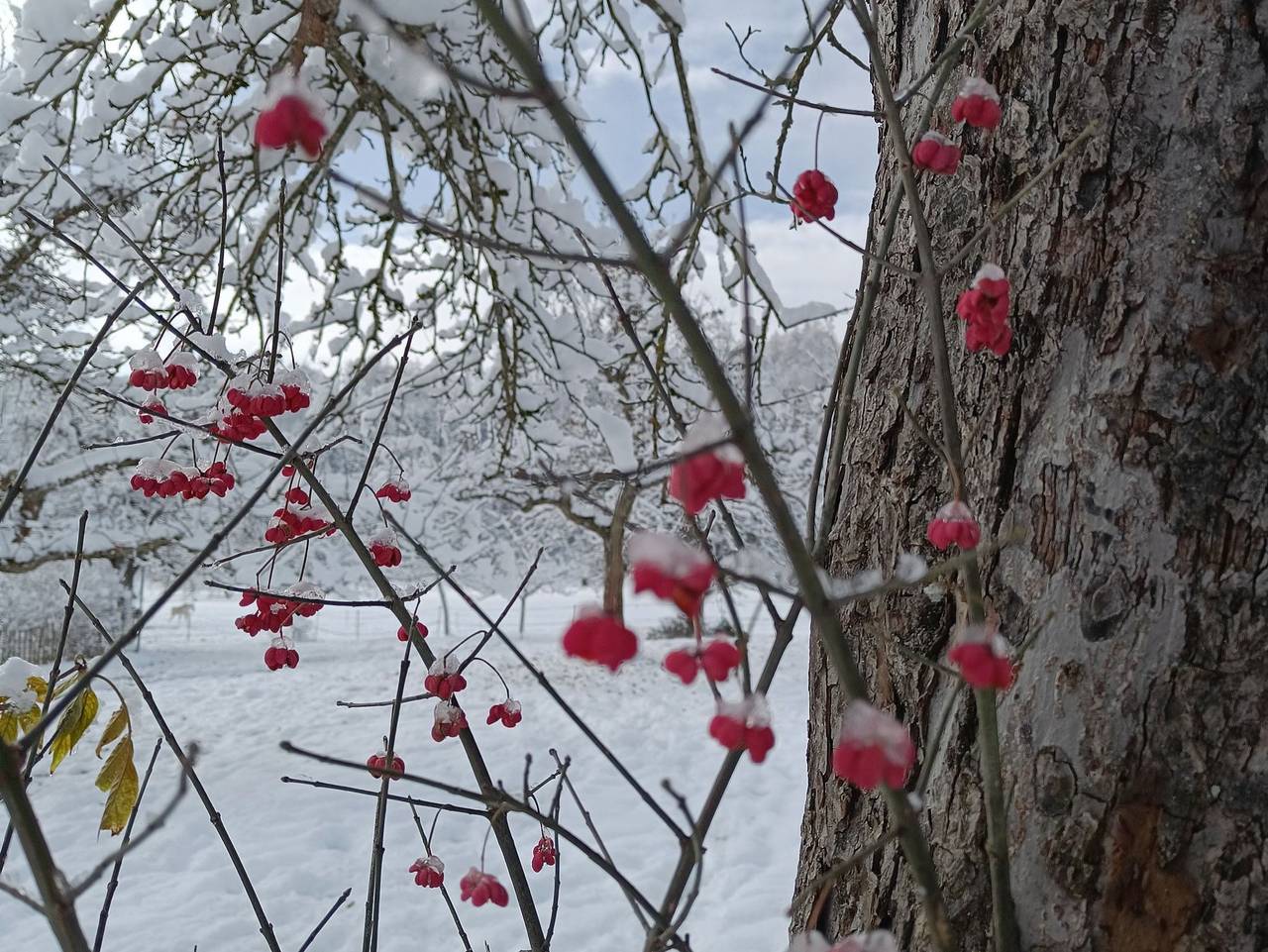 Hofgut Bentele - 3-Zimmer-Ferienwohnung Bentele, Dusche/Wc, 62 qm, Dg in Deggenhausertal, Region Bodensee-Oberschwaben