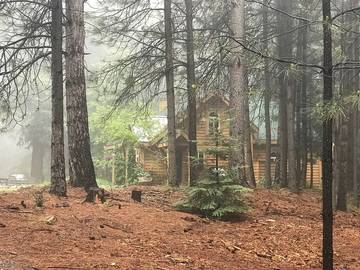 Bed And Breakfasts for 5 Guests in Northern California, California, Picture 2