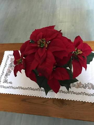 Gîte pour 4 personnes, avec vue et balcon à Niedernai