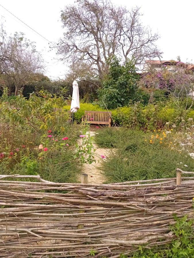 Casa rural para 6 personas, con vistas y jardín en Gijón - 2