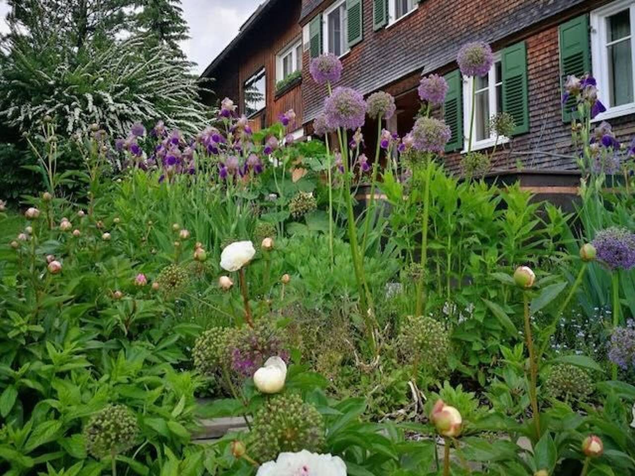 Ganze Ferienwohnung, Haus Kammern 168 - Ferienwohnung 1, Gemütlichkeit und Komfort (4 Edelweiss) in Egg, Bodensee-Vorarlberg