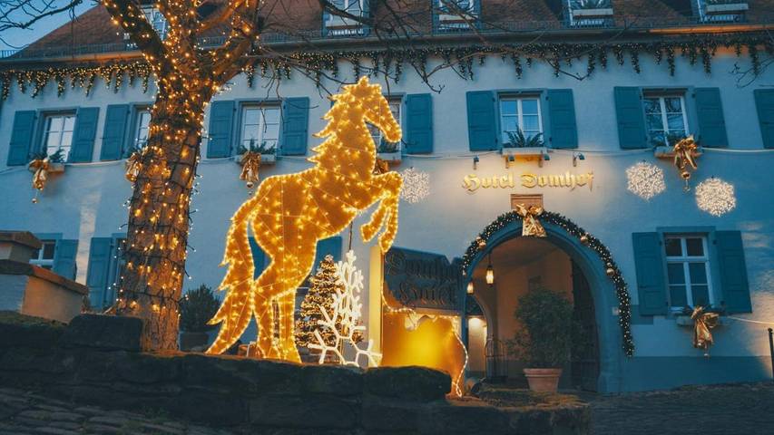 Hotel für 5 Personen, mit Garten und Ausblick in Speyer