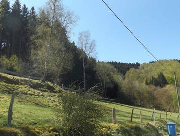 Ferienhaus für 10 Personen in Olsberg, Hochsauerlandkreis, Bild 4