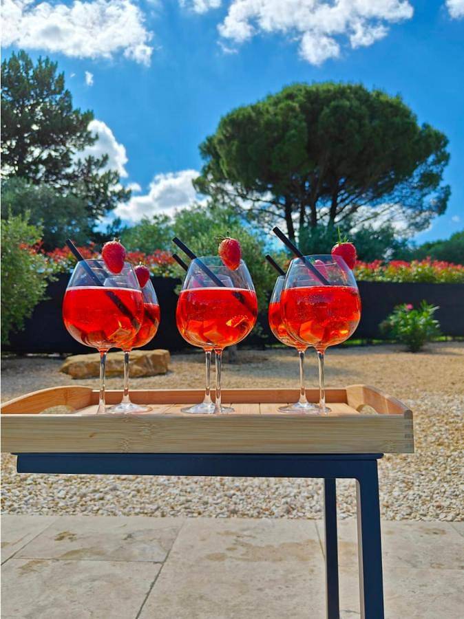 Location de vacances pour 6 personnes, avec Terrasse et Jardin ainsi que Piscine et Vue à Salazac - 2