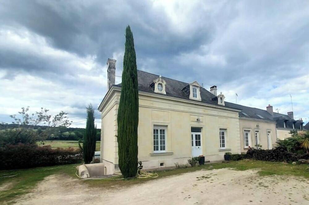 The vineyard setting in Bourgueil, Loire Valley
