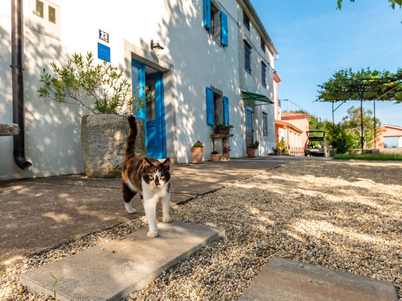 Haus Gaia in Raša, Ostküste Istrien