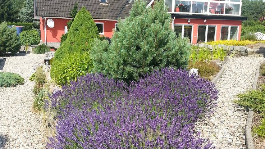 Ferienwohnung für 2 Personen, mit Balkon in Bergen auf Rügen und Umgebung - 2