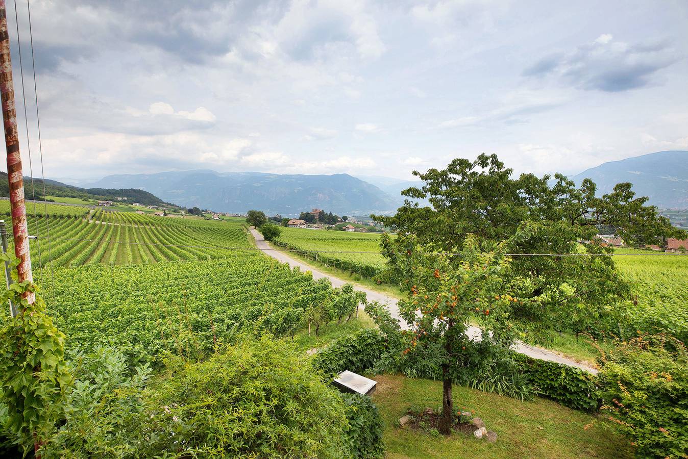 Ganze Wohnung, Ferienwohnung 'Harmony Apt 2' mit Bergblick, Gemeinschaftsgarten und Wlan in Berg (Eppan), Eppan an der Weinstraße