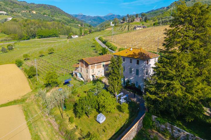 Ferienhaus für 15 Personen, mit Haustier in Lucca - 2