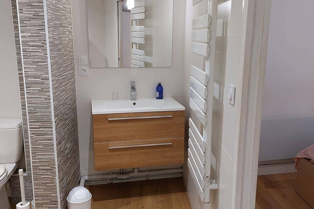 Entire apartment, Le Denys Puech 55m² + terrace in the heart of town in Rodez, Massif Central