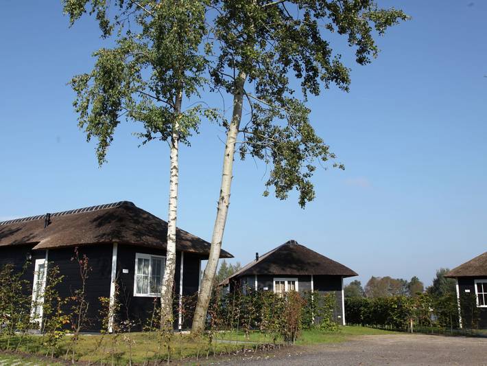 Vakantiehuis voor 6 personen, met Terras en Tuin in Hoge Hexel