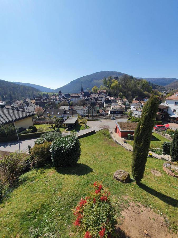 Gîte pour 6 personnes, avec terrasse et vue à Neckarsteinach - 2