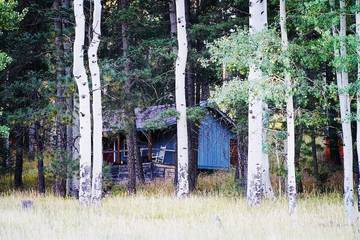 Glamping for 6 Guests in Coconino National Forest, Coconino County, Picture 1