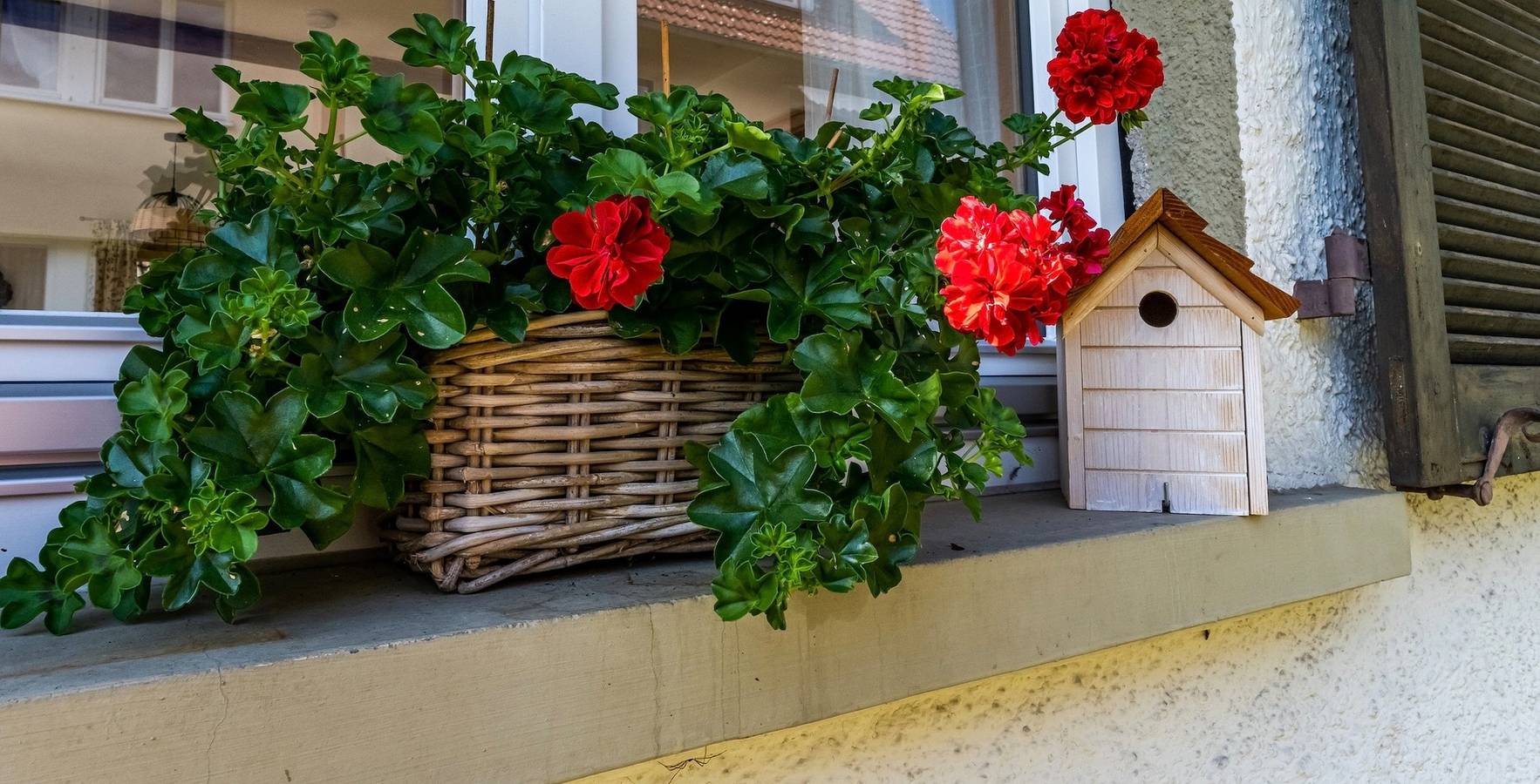 Gartenferienhaus "Annaluise" in Suedlicher Schwarzwald, Schönau im Schwarzwald