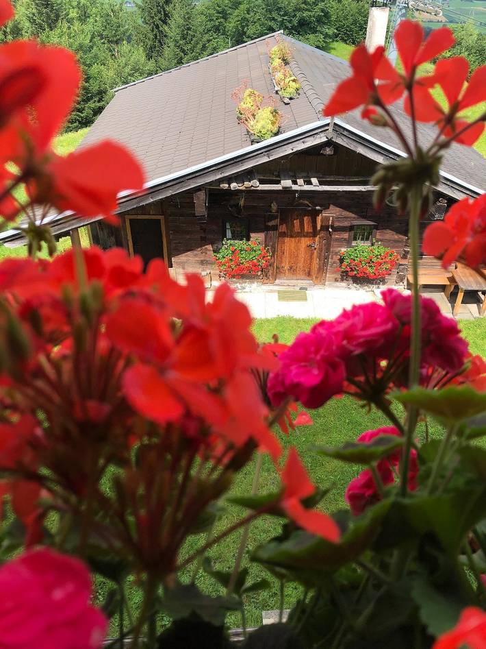 Ferienwohnung für 5 Personen, mit Terrasse und Garten sowie Seeblick in den Kitzbüheler Alpen - 2