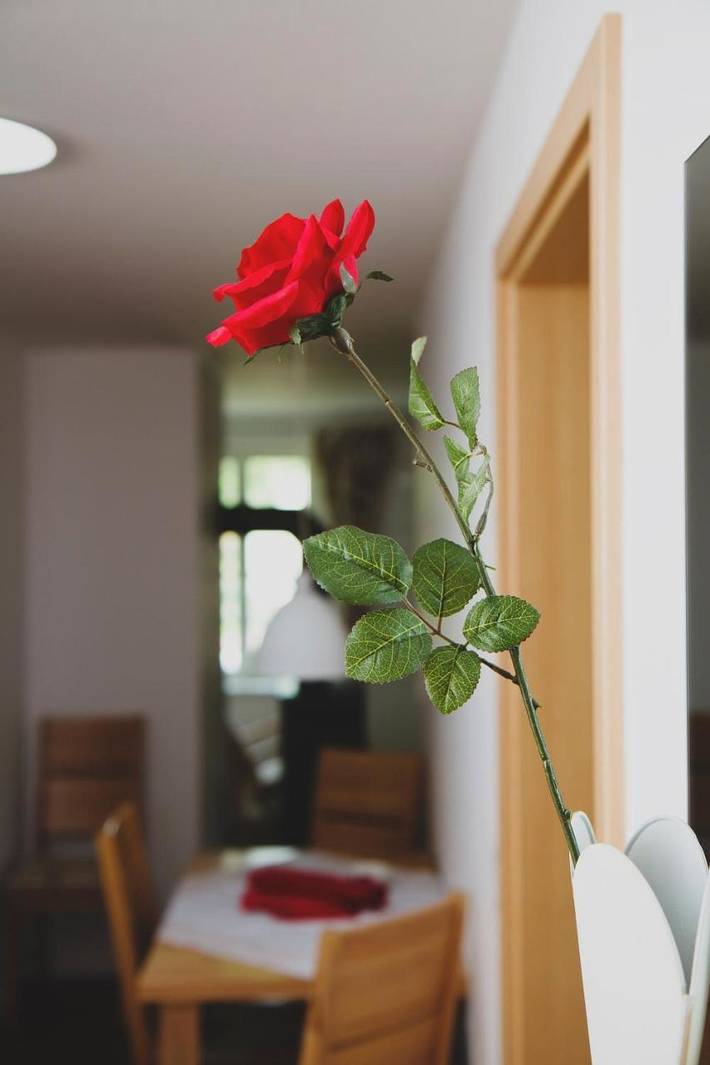 Ferienwohnung für 4 Personen, mit Ausblick und Garten in Angermünde - 2