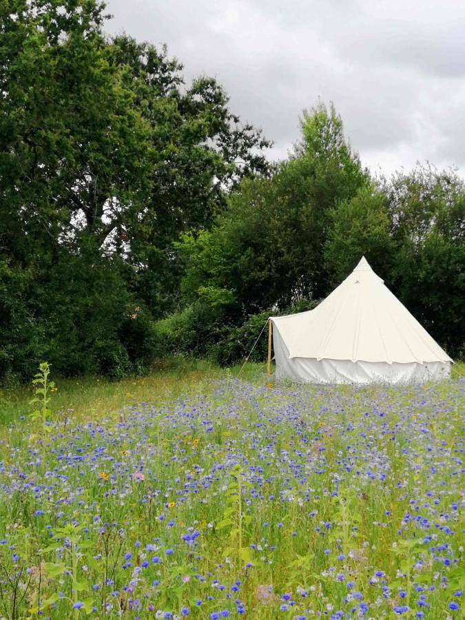 Le camping à la ferme des Rangs d'Oignons in Le Cellier, Vallée de la Loire