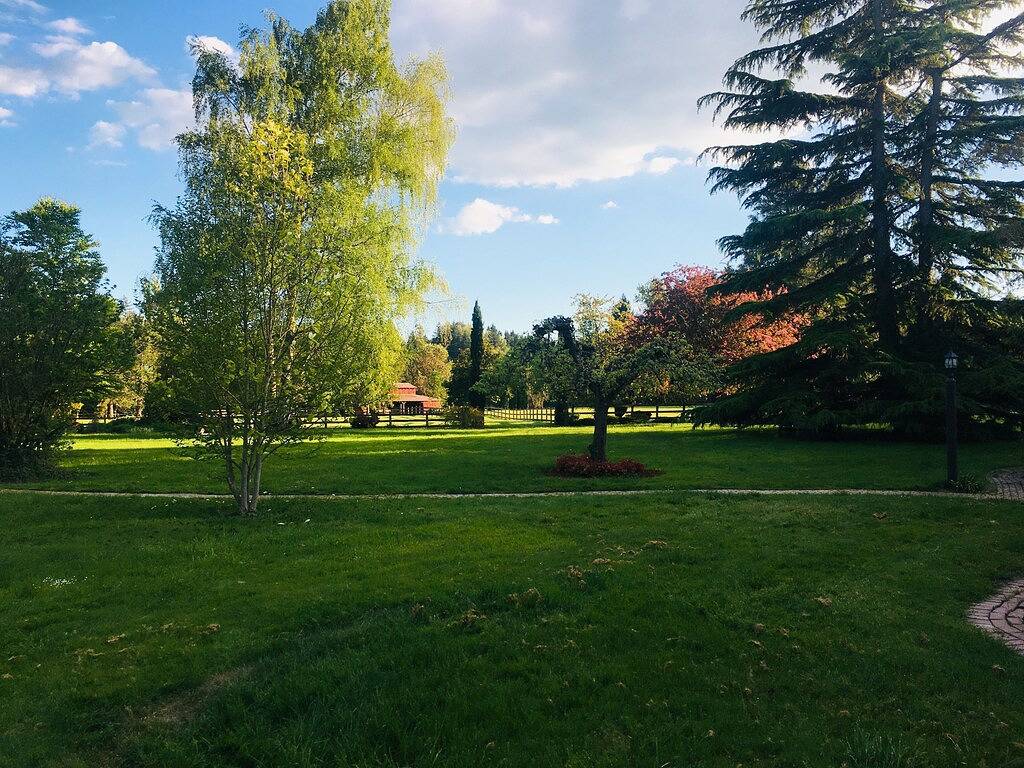 Bunkhouse Retreat in der Minto-Brown-Insel Salem Oregon in Salem (OR), Willamette Valley