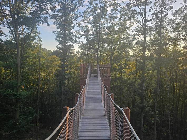 Location de vacances pour 24 personnes, avec jardin ainsi que vue et sauna dans Odeigne