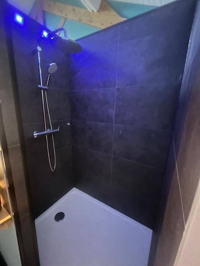 Gîte pour 10 personnes, avec jardin, animaux acceptés à Orliénas - 3