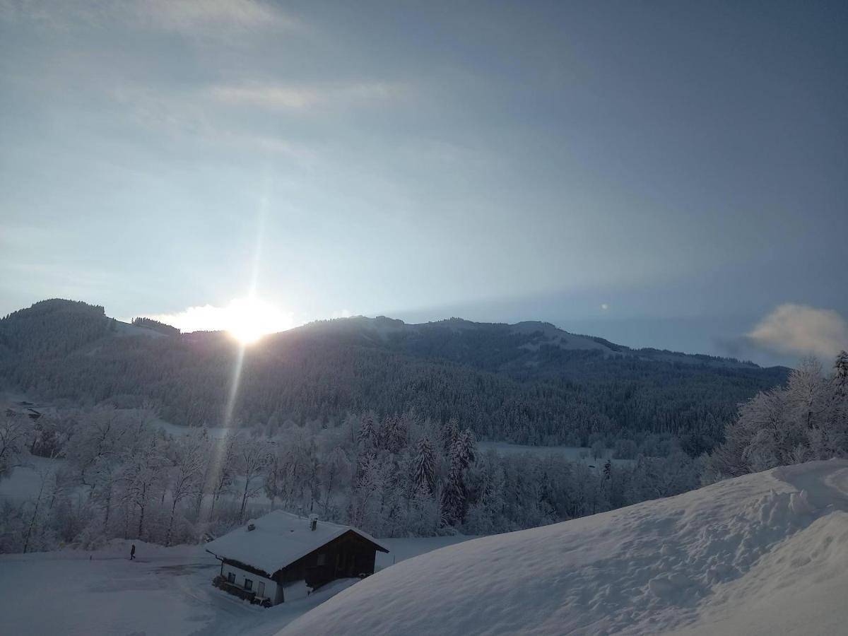 Hennleiten Hütte in Reith bei Kitzbühel, Hohe Salve