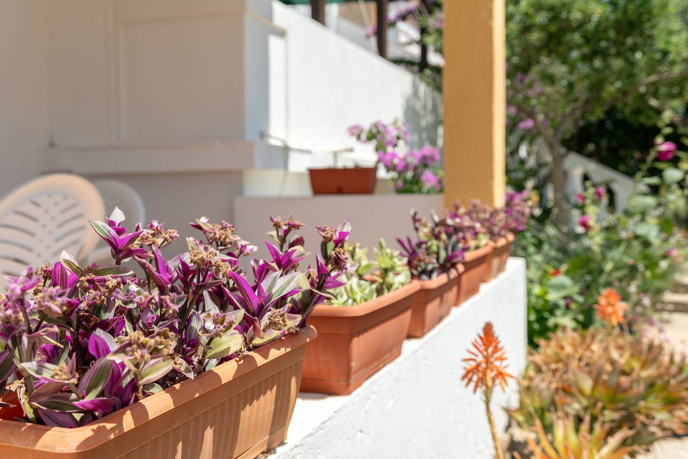 Ganze Wohnung, Apartments Sanja in Povljana, Pag