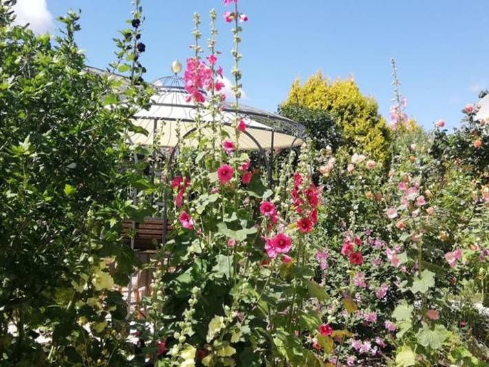 Ferienhaus für 4 Personen, mit Garten und Terrasse, mit Haustier in Garz/Rügen - 3