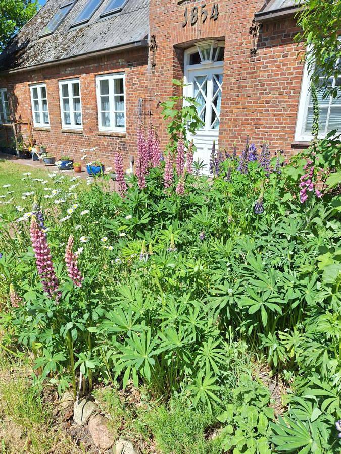 Ganze Wohnung, Ferienwohnung Land-Deern in Enge Nordfriesland in Enge-Sande, Grünes Binnenland