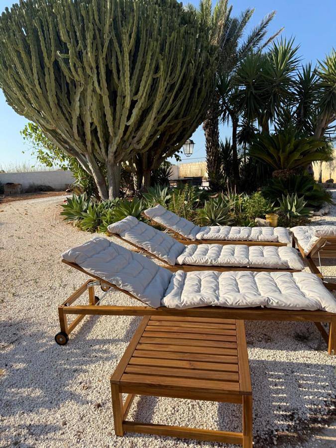 Appartamento per 5 persone, con Balcone e Terrazza nonché Giardino e Panorama a Torrefano