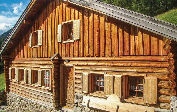 Ferienhaus für 4 Personen, mit Haustier in Österreich - 3