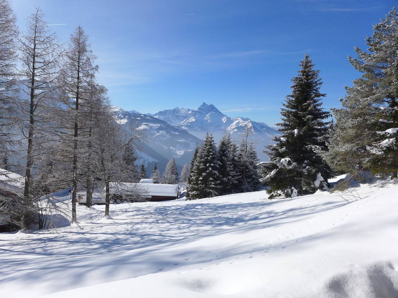 Apartamento entero, Les Beluardes Bl. 151/2 in Gryon, Alpes Vaudoises