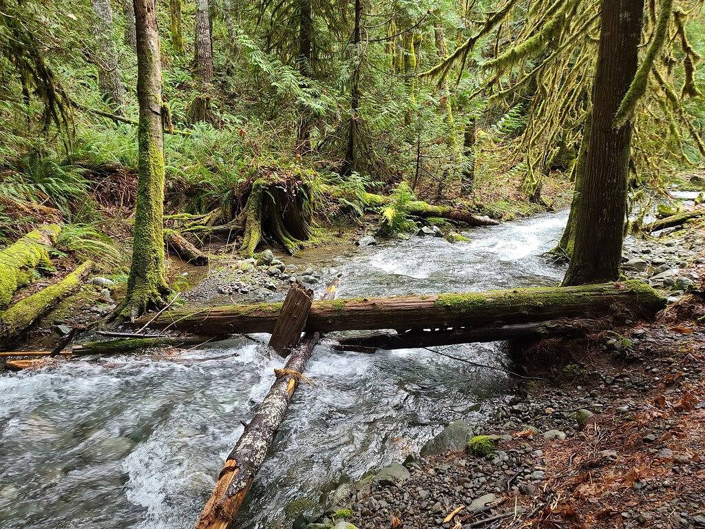 Cozy Winter Retreat w/ Woodstove & Old School Movies - Hoodsport / Lake Cushman in Lake Cushman