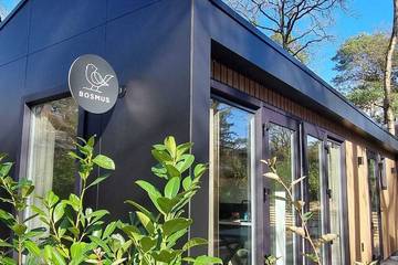 Chalet voor 4 Personen in Nunspeet, Veluwemeer, Afbeelding 3