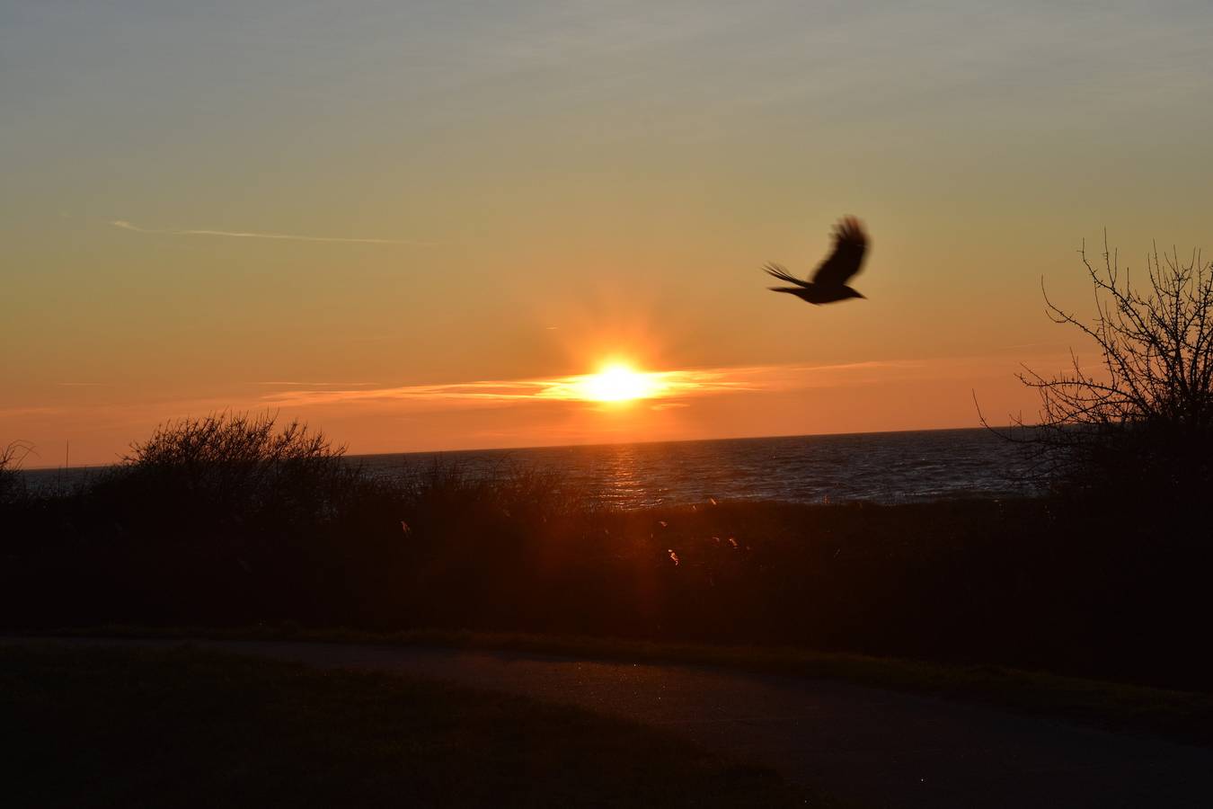 Ganze Ferienwohnung, Ferienwohnung Sibirian Husky in Klein Zicker, Mönchgut