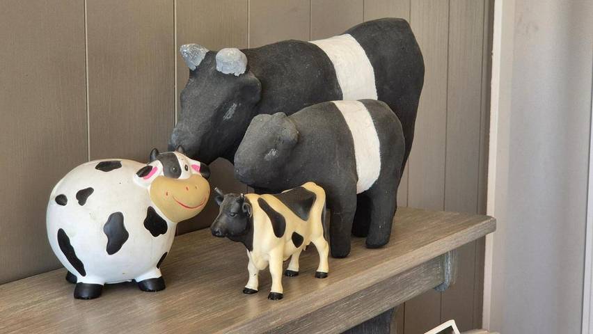 Location de vacances pour 4 personnes, avec vue et jardin à Waregem - 3