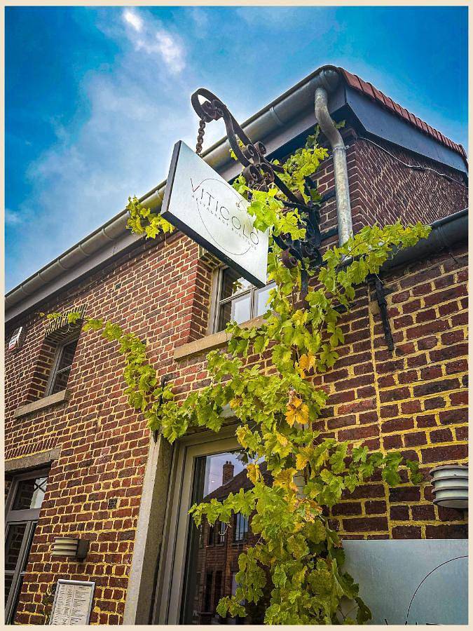 Viticolo Chambres d'hôtes in Tubize, Province du Brabant wallon