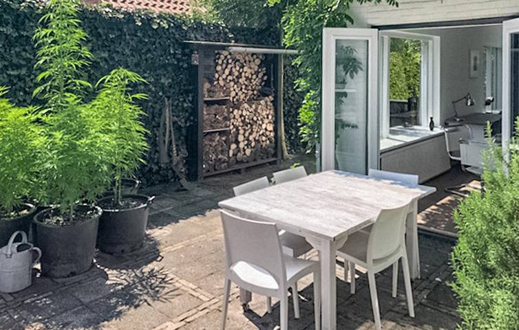 Ferienhaus für 5 Personen, mit Terrasse in Bergen (Nordholland) - 3