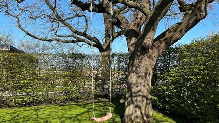 Ferienhaus für 6 Personen in Winnemark, Rendsburg-Eckernförde, Bild 4