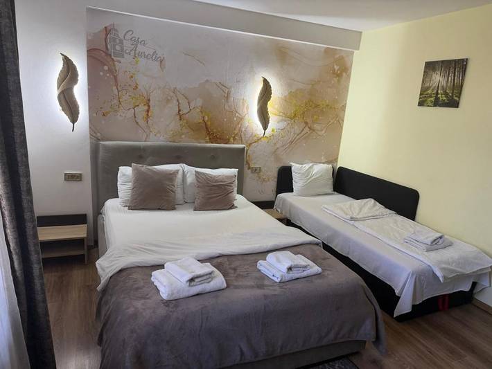 Chambre d’hôte pour 2 personnes, avec jardin et jacuzzi à Sibiu - 3