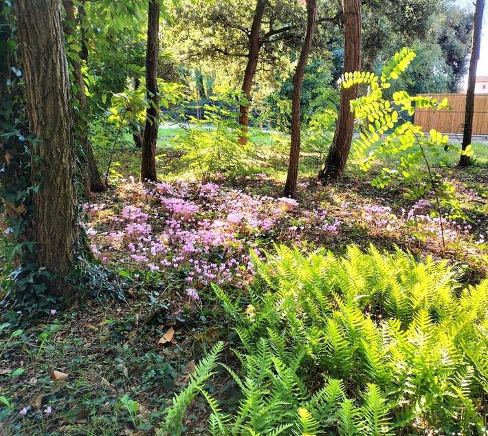 Villa pour 7 personnes, avec vue et jardin à Jard-sur-Mer